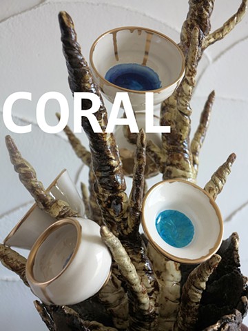Coral (2016)