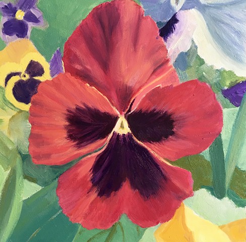 Bold Red Pansy