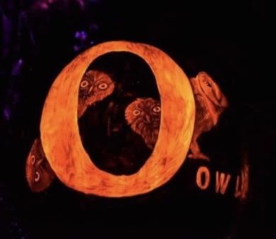 "O" is for Owls