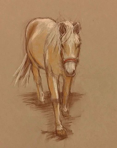 horse sketch