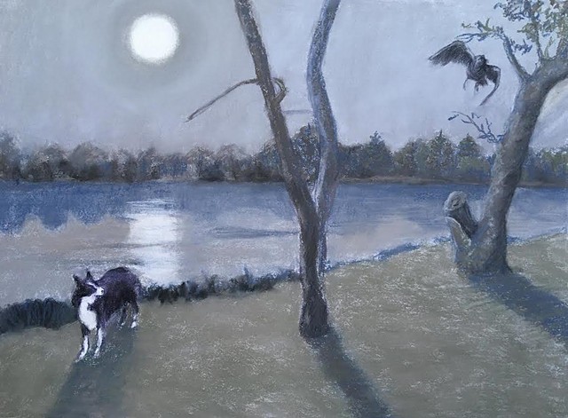moon, owl, lake, dog, border collie, night