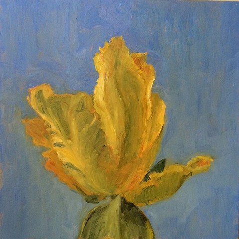 Fancy Yellow Tulip with Bright Blue Sky