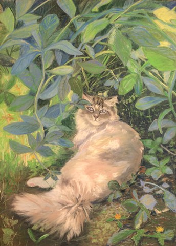 Cat rests in shade on sunny day, cat, white cat, cat resting, shade, pastel, drawing, painting