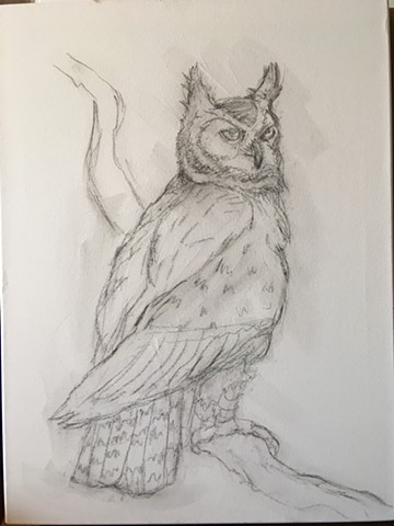 Owl sketch on canvas.