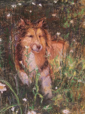 detail - Dog in the Daisies

(sold)