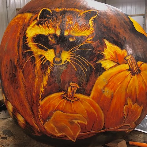 Racoon and pumpkins