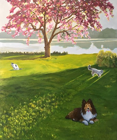 Sheltie, dog, cats, crabapple tree, blooming crab tree, spring