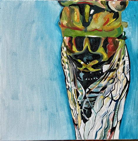 cicada