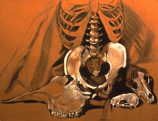 Pamela Sienna drawing of bones, contemporary charcoal drawing
