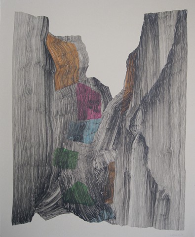 drawing, nature, abstract,memory,  process, performance, ink 