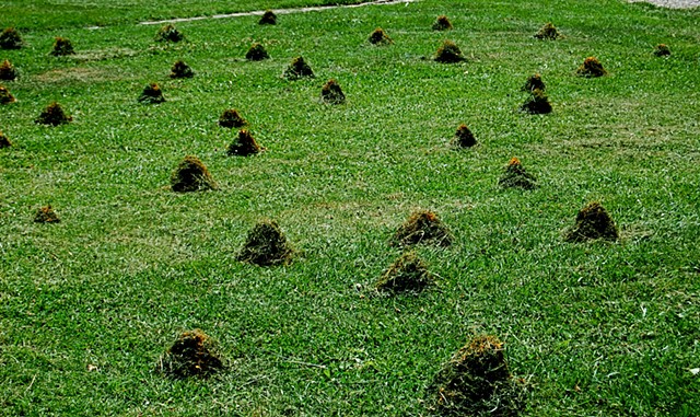 Grass mounts