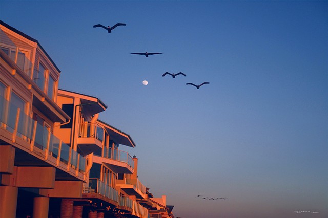 Pelicans in formation at Malibu Ca.  Malibu Beach Ca. and the tiny Moon 