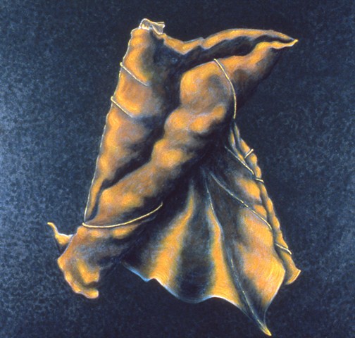 Caltalpa Leaf