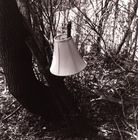 Found lampshade