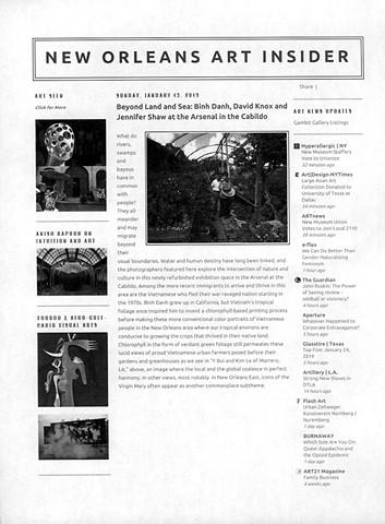 New Orleans Art Insider, review by Eric Bookhardt