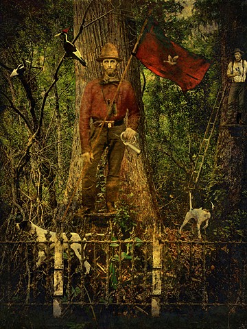 Last Sanctuary of the Ghost Bird