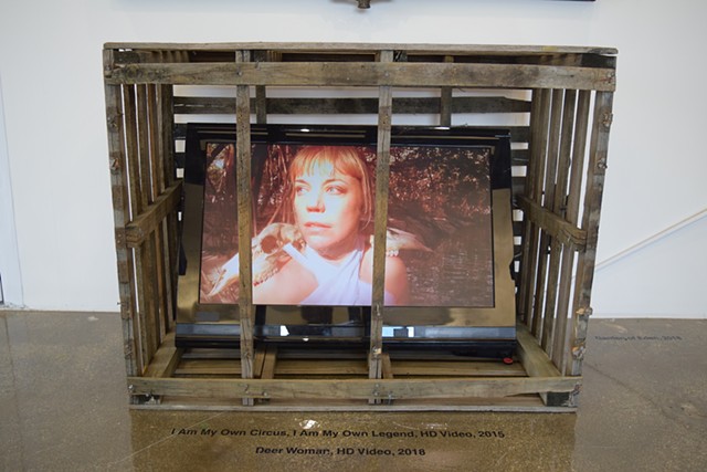 Video Installation within a lobster trap