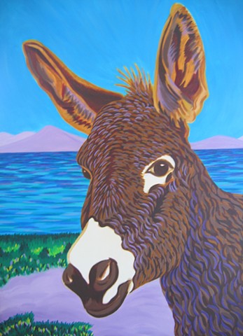 Donkey, St. Thomas