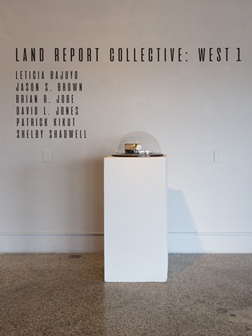 Land Report Collective
