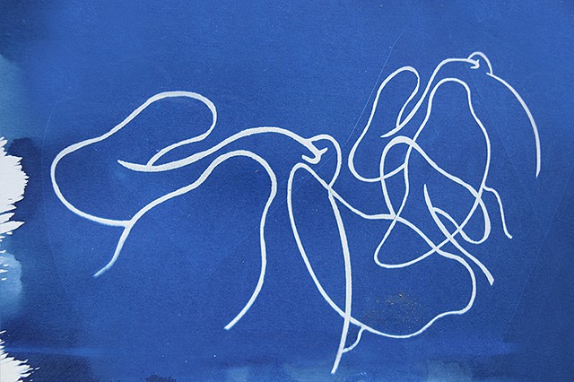 Cyanotype Drawing Untitled #4
