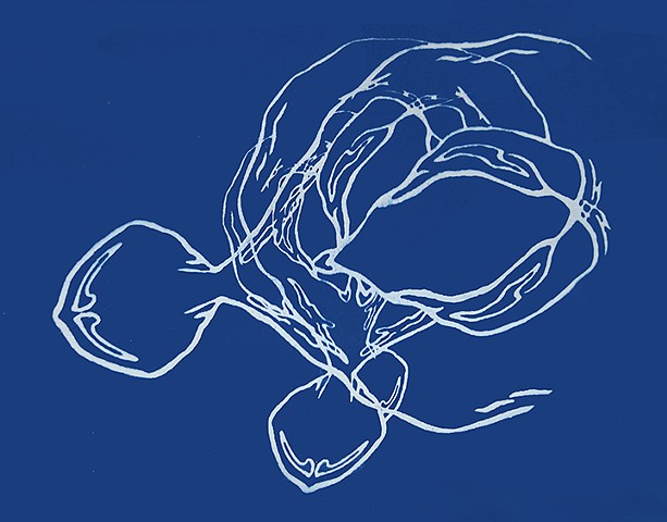 Cyanotype Drawing Untitled #1