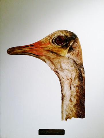 ostrich painting by Karlo Andrei Ibarra 