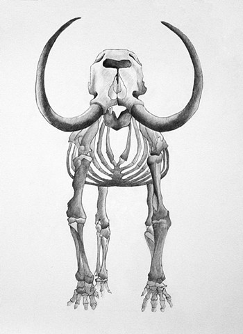 Mastodon Skeleton