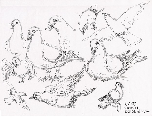 Rocket Pigeon preliminary drawing#1