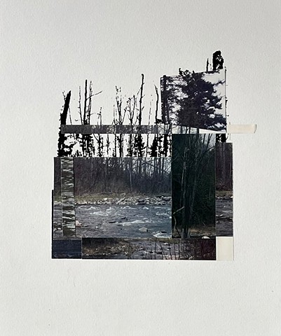  foret, nature, art contemporain