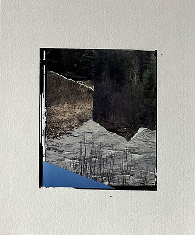  foret, nature,  art contemporain