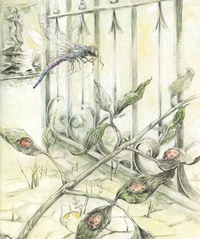 children's Book Illustration