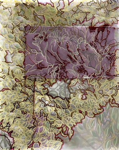 Daphne