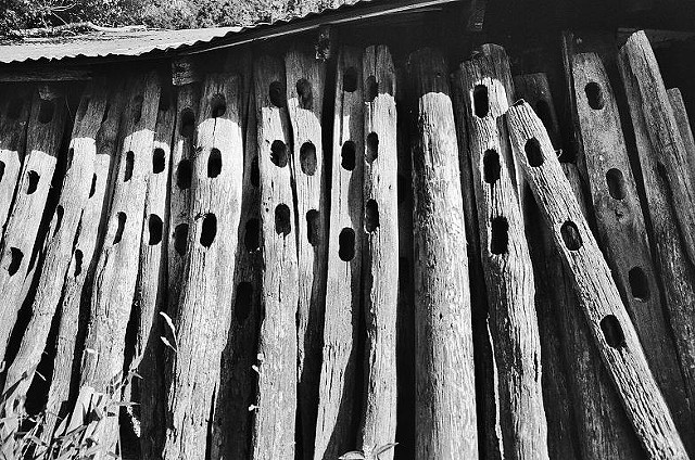 black and white, photo, fence posts, farm, 