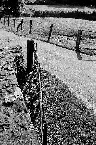black and white, photo, farm, rockwall