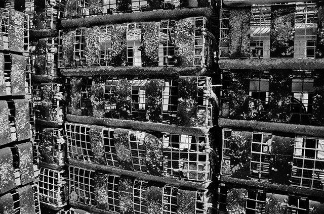 Black and White photo, Non-digital, Lobster Crates