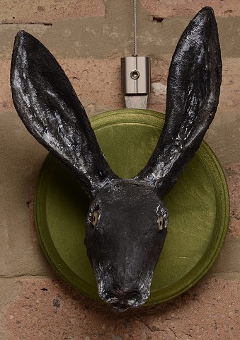 Black Hare portrait