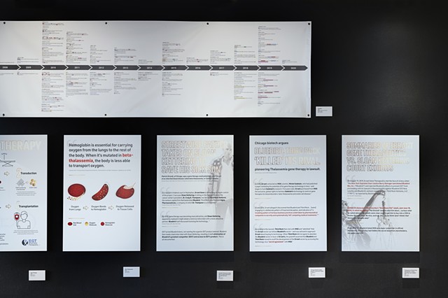 Timeline, Court Summaries (right half): Installation at The International Museum of Surgical Science (4279)