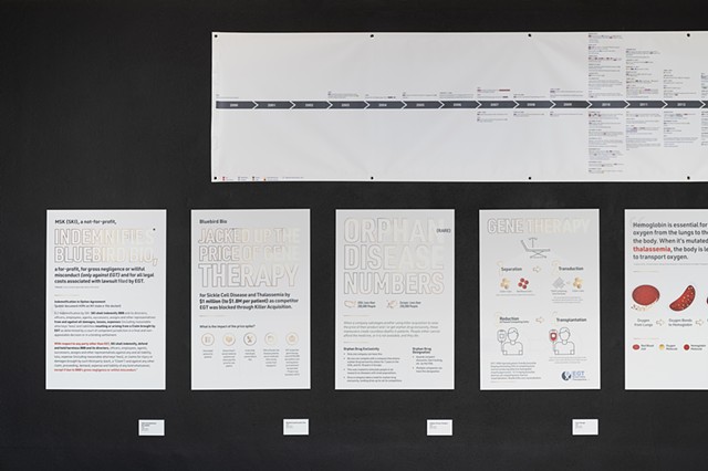 Timeline, Orphan Disease, and Gene Therapy (left half): Installation at The International Museum of Surgical Science (4280)