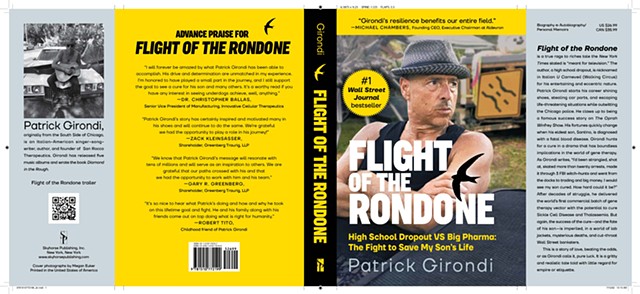 Cover for Flight of the Rondone: High School Dropout VS Big Pharma: The Fight to Save My Son's Life