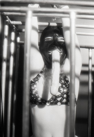 woman wearing leather bra is locked in cage and forced to hold dildo in her mouth photographed by la mouge erotic photo
