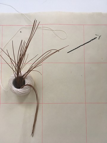 There's a cream colored paper covered in an even graph of red squares. To the left and middle of the image sits a small ball of white thread. From out of the center of the ball, as though it were a vase, stands a hand full of long pine needles. One has fa