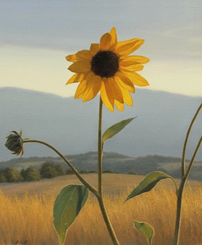 "Prairie Sunflower" 