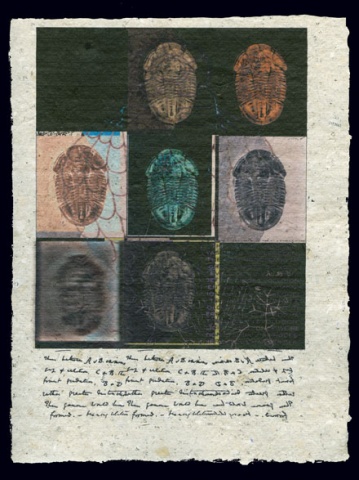 Document 8 (9 Fossils)