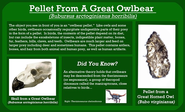 Owlbear Pellet (detail of interpretive signage)