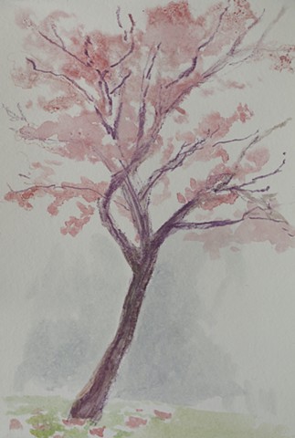 March 13/Tree in the Rain