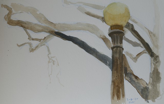 March 6/Tree with Lamppost 