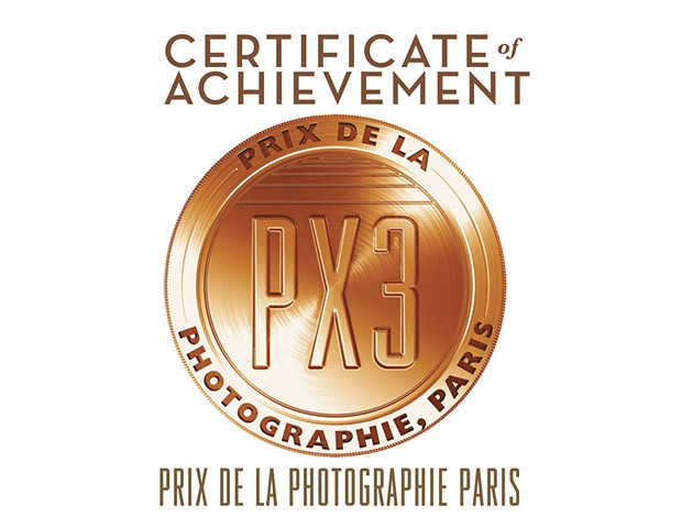 Paris, France 2014, 3rd Place Fine Art Photo