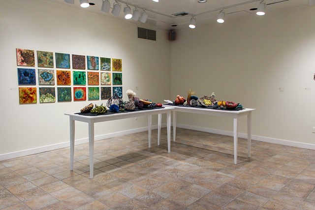 Morphology installation view at FAC exhibition