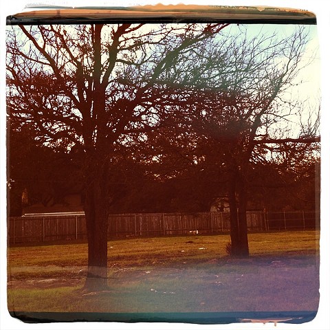 Trees silhouetted in a Texas Fall, with warm oranges and yellows has the appearance of a vintage Polaroid photograph.  
