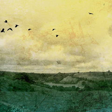 Digitally aged and altered photograph of a Texas landscape with Blackbirds flying overhead